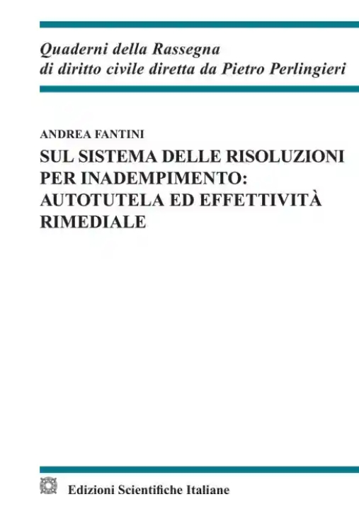 Immagine 0 di Sul Sistema Delle Risoluzioni