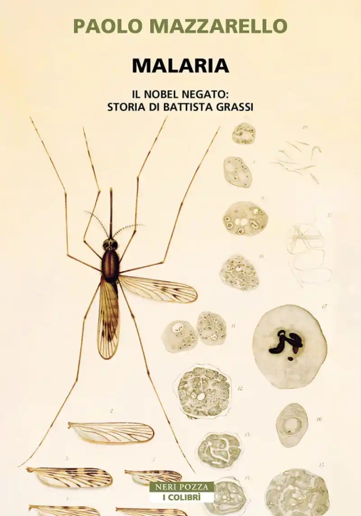 Immagine 0 di Malaria. Storia Di Battista Grassi Nobel Mancato