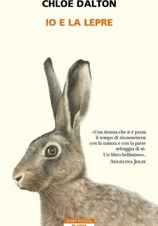 Immagine 0 di Io E La Lepre