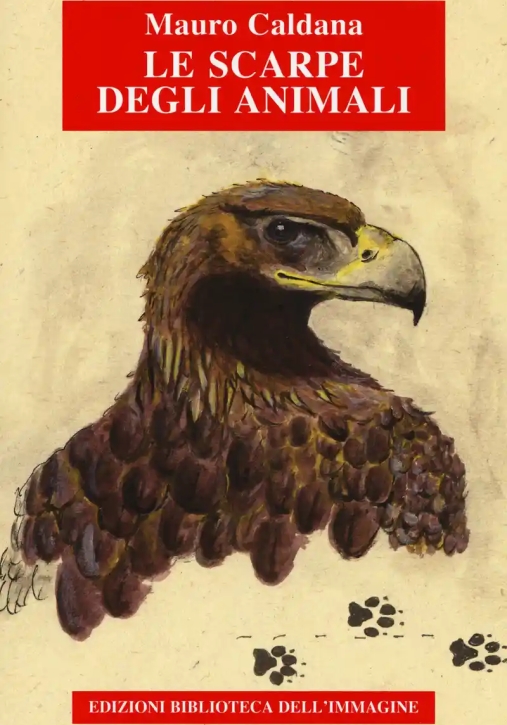 Immagine 0 di Scarpe Degli Animali