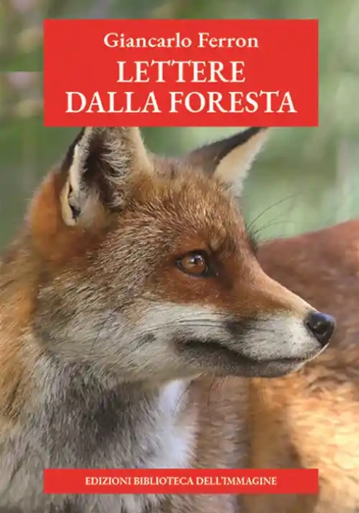 Immagine 0 di Lettere Dalla Foresta