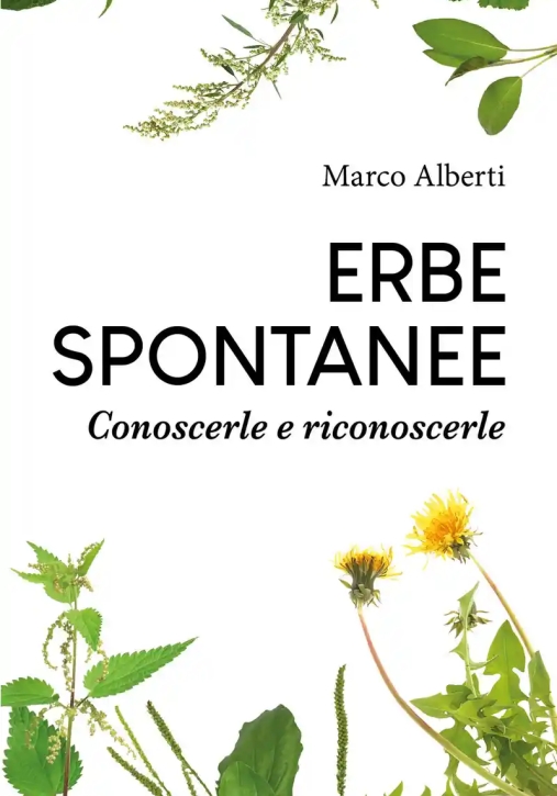 Immagine 0 di Erbe Spontanee
