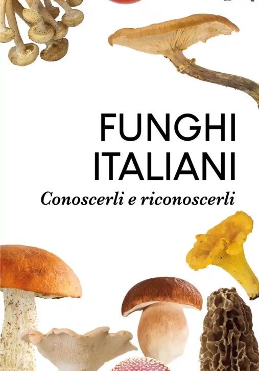 Immagine 0 di Funghi Italiani