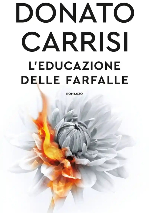 Immagine 0 di Educazione Delle Farfalle, L'