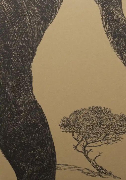 Immagine 0 di All'ombra Di Un Pino