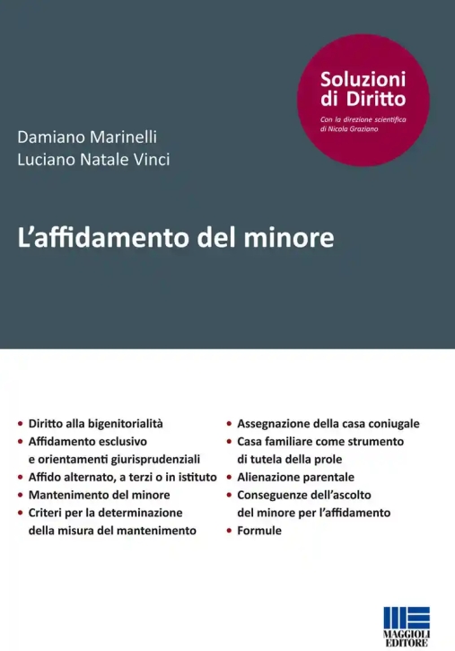 Immagine 0 di Affidamento Del Minore