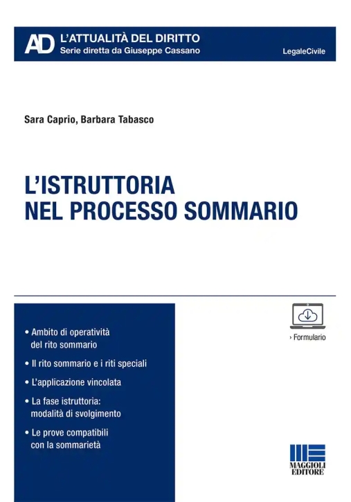Immagine 0 di Istruttoria Processo Sommario