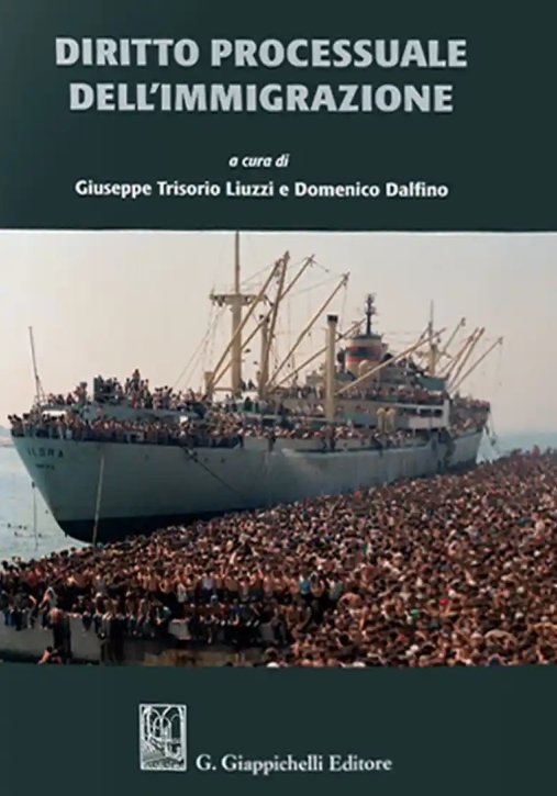 Immagine 0 di Diritto Processuale Dell'immig