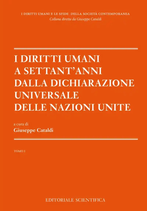 Immagine 0 di Diritti Umani A Settant'anni Tomo 1