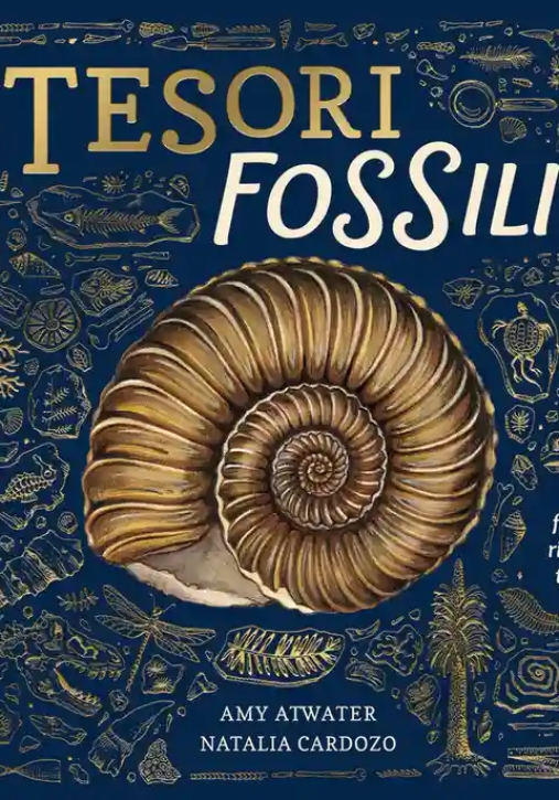 Immagine 0 di Tesori Fossili. Ediz. A Colori