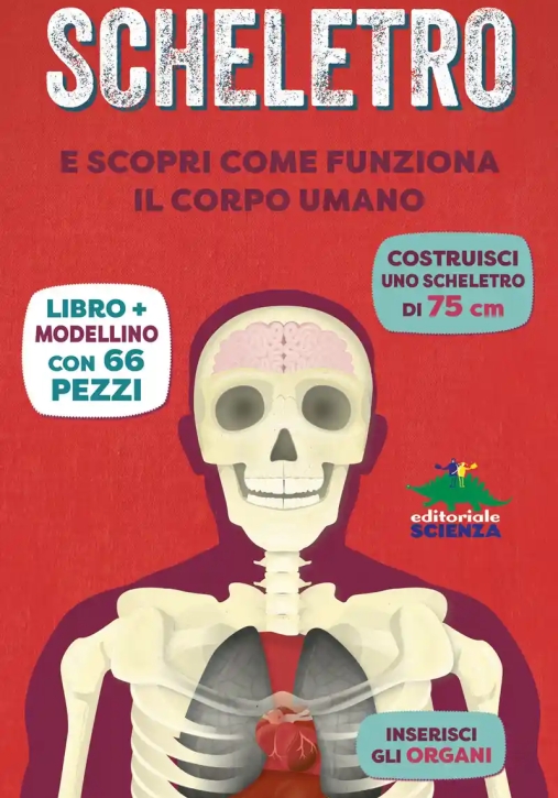 Immagine 0 di Costruisci Il Tuo Scheletro (n.e.)
