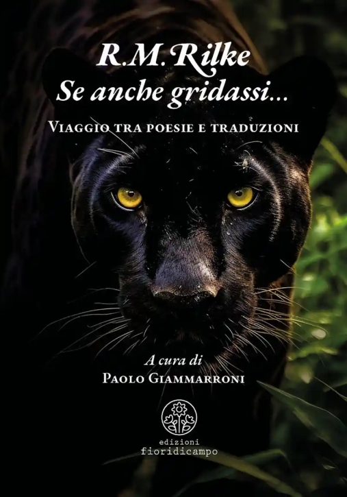 Immagine 0 di Se Anche Gridassi