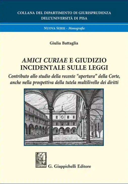 Immagine 0 di Amici Curiae Giudizio Incidentale Leggi