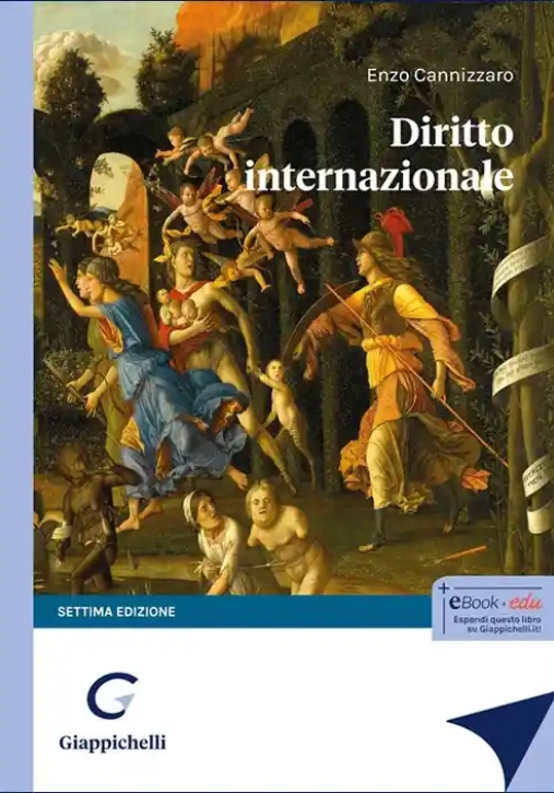 Immagine 0 di Diritto Internazionale 7ed