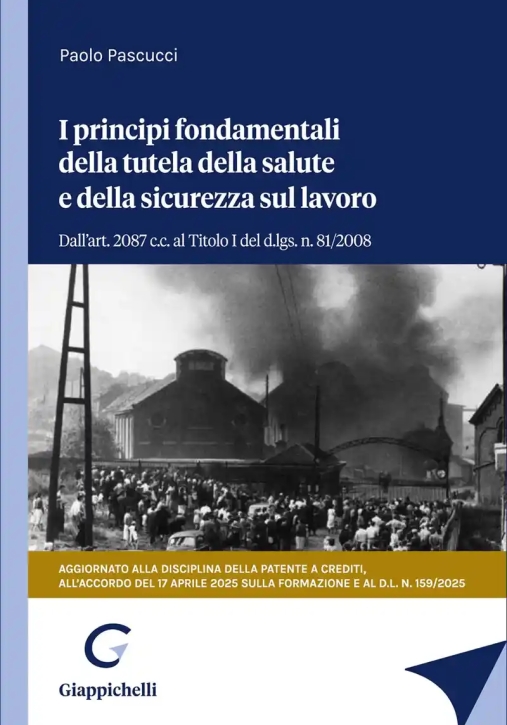 Immagine 0 di Principi Fond.tutela Salute E Sicurezza