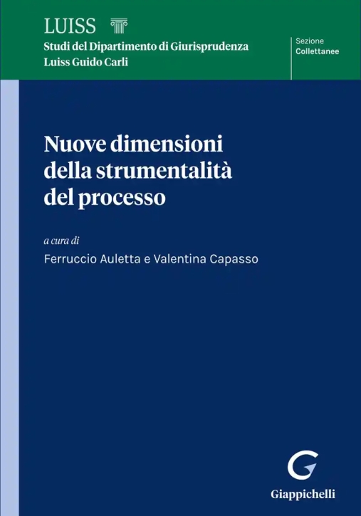 Immagine 0 di Nuove Dimensioni Strumentalita' Processo