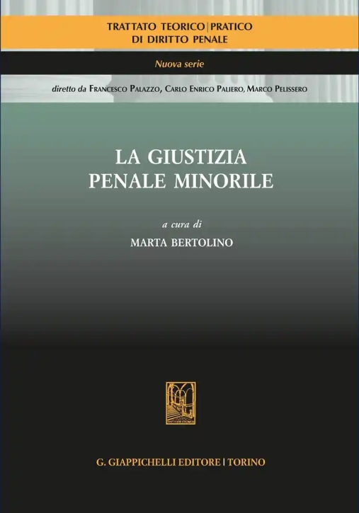 Immagine 0 di Giustizia Penale Minorile