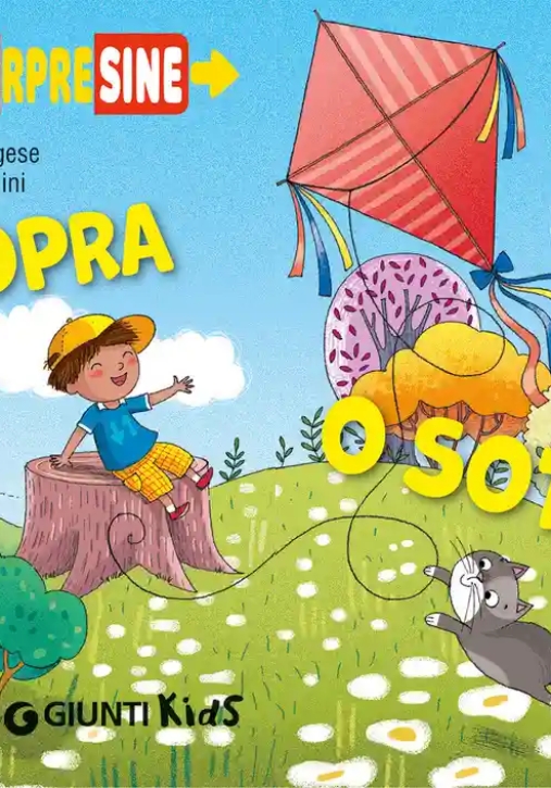 Immagine 0 di Sopra O Sotto