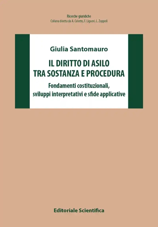 Immagine 0 di Diritto Di Asilo Tra Sostanza