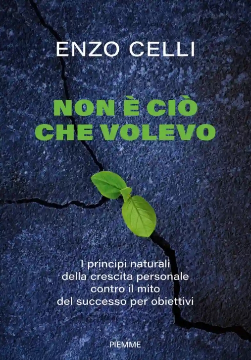 Immagine 0 di Non E' Cio' Che Volevo