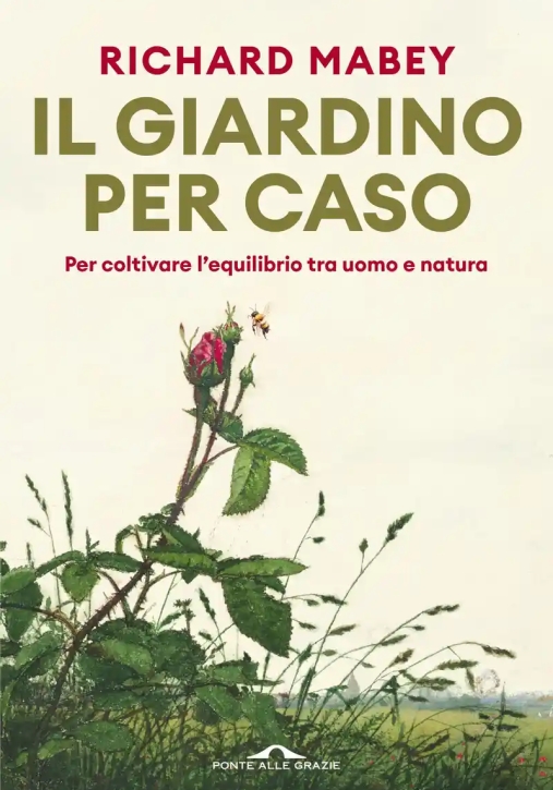 Immagine 0 di Giardino Per Caso