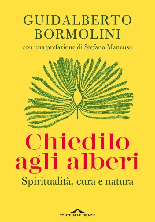 Immagine 0 di Chiedilo Agli Alberi