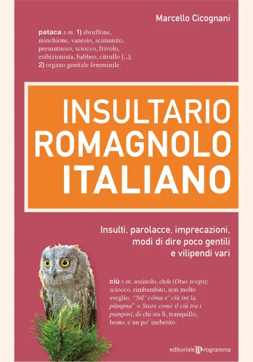 Immagine 0 di Insultario Romagnolo Italiano