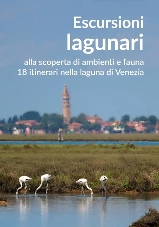 Immagine 0 di Escursioni Lagunari