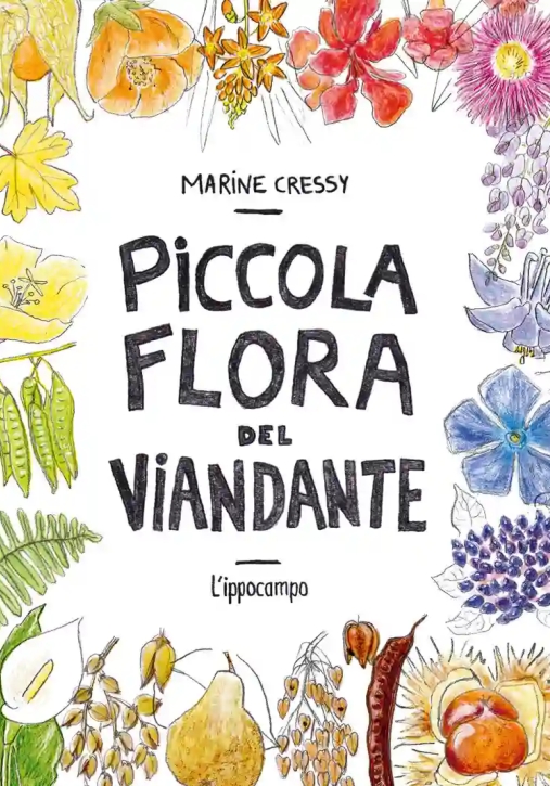 Immagine 0 di Piccola Flora Del Viandante