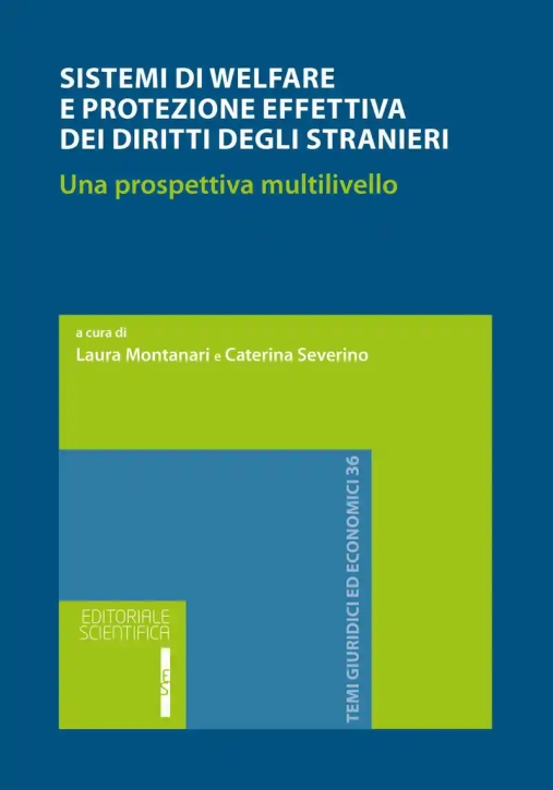 Immagine 0 di Sistemi Di Welfare Protezione Effettiva