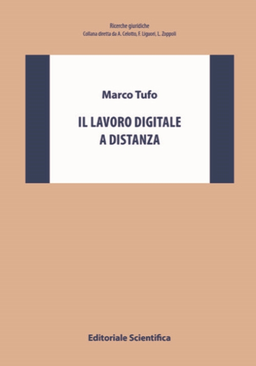 Immagine 0 di Lavoro Digitale A Distanza