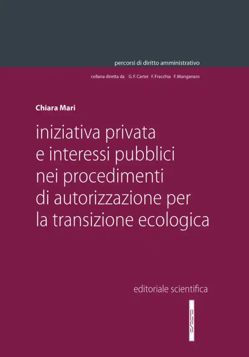 Immagine 0 di Iniziativa Privata Interessi Pubblici