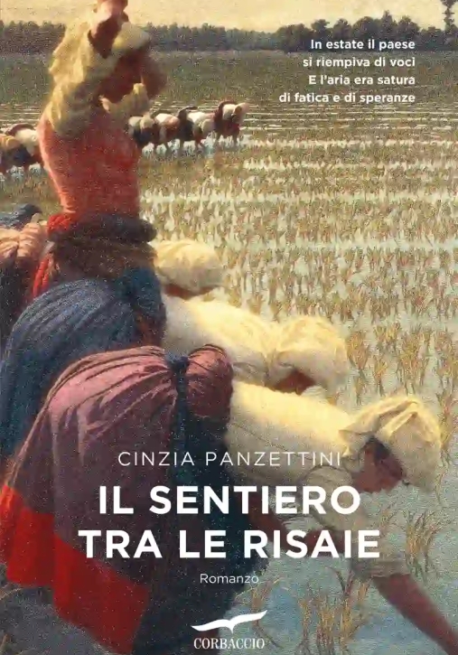 Immagine 0 di Sentiero Tra Le Risaie, Il