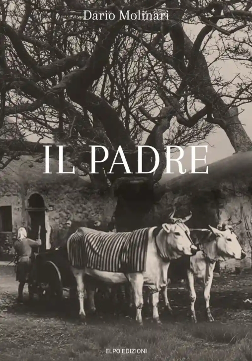 Immagine 0 di Padre