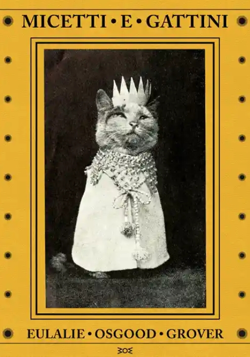 Immagine 0 di Micetti E Gattini