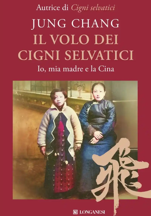 Immagine 0 di Volo Dei Cigni Selvatici (il)