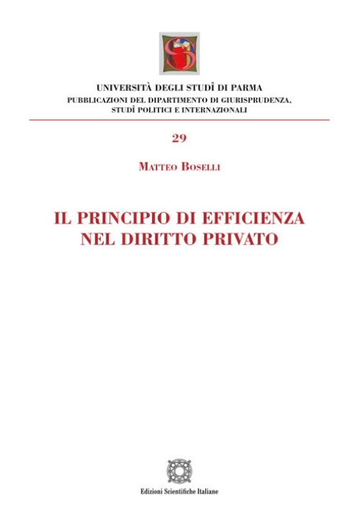 Immagine 0 di Principio Efficienza Diritto P