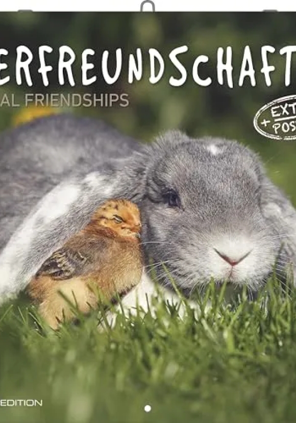 Calendario 2026 Animal Friendship Cm 30x30