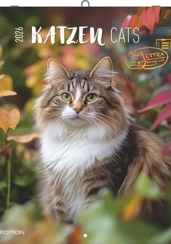 Calendario 2026 Cats Cm 30x30