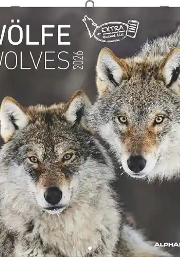 Calendario 2026 Wolves Cm 30x30