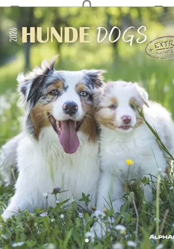 Calendario 2026 Dogs Cm 30x30