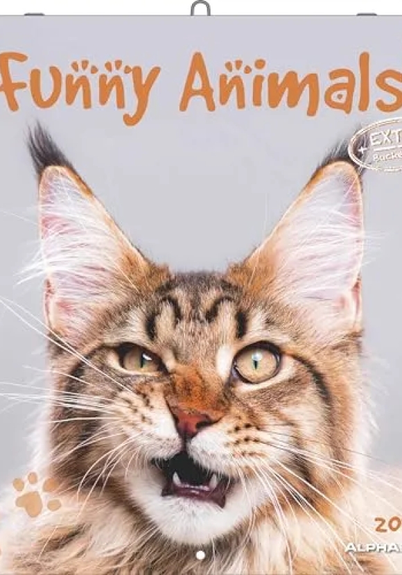 Calendario 2026 Funny Animals Cm 30x30