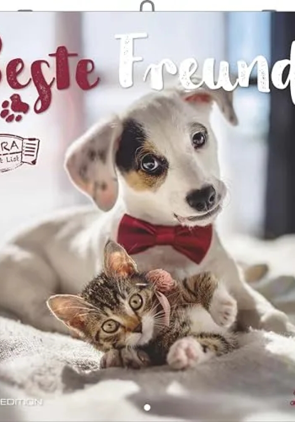 Calendario 2026 Best Friends Cm 30x30