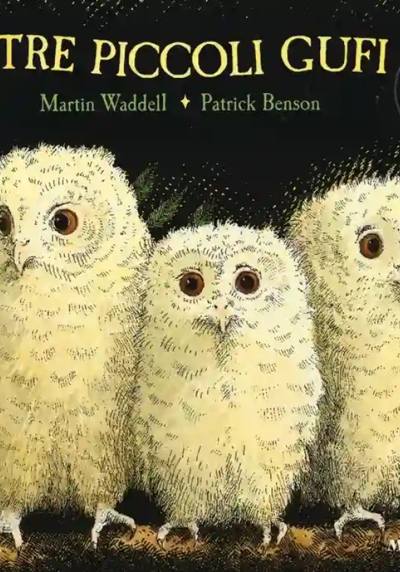 Tre Piccoli Gufi. Ediz. Illustrata (i)