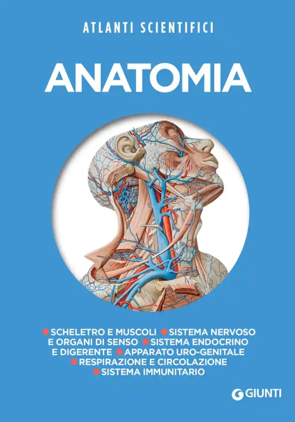 Anatomia