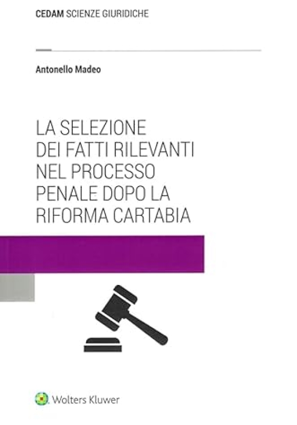 Selezione Fatti Rilevanti Processo Penal