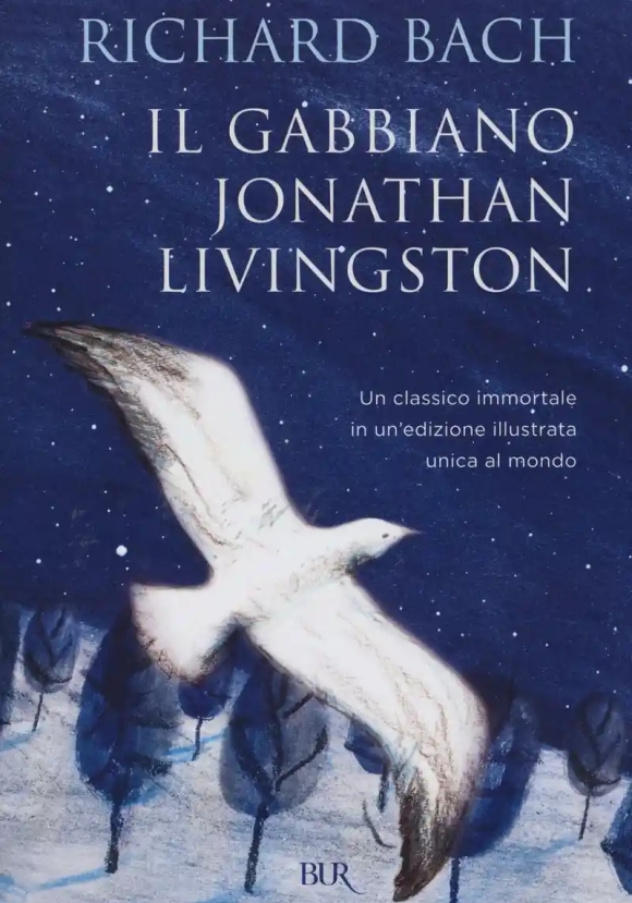 Gabbiano Jonathan Livingston