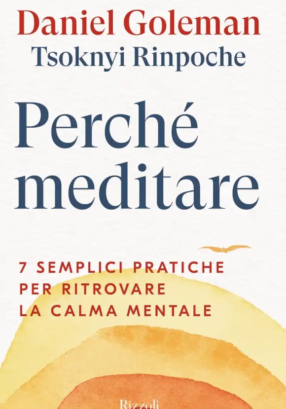 Perch? Meditare