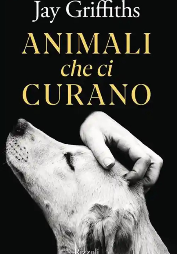 Animali Che Ci Curano