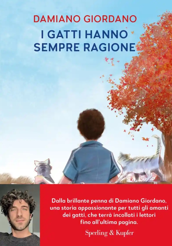Gatti Hanno Sempre Ragione